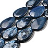 Dyed Natural Freshwater Shell Beads Strands BSHE-G034-24-1