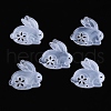 Transparent Acrylic Connector Charms OACR-K005-01-4