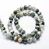 Natural Tree Agate Beads Strands G-I199-03-6mm-2