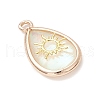 Natural Paua Shell Teardrop Pendants PALLOY-JF03762-03-3