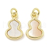Brass Pave Sea Shell Gourd Charms KK-Q820-16G-1