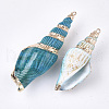 Spray Painted & Electroplate Spiral Shell Big Pendants X-SSHEL-T010-05B-2