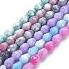 Opaque Baking Painted Glass Beads Strands EGLA-N006-007-1