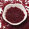 Spray Painted Glass Seed Beads SEED-F005-11A-05-2
