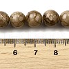 Natural Striped Stone Beads Strands G-D315-A01-03-10mm-5
