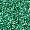 TOHO Round Seed Beads SEED-XTR11-0561-2