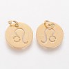 Ion Plating(IP) 304 Stainless Steel Pendants A-STAS-Q201-T445-5G-2