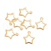201 Stainless Steel Charms STAS-K217-05G-3