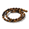 Natural Tiger Eye Beads Strands G-B135-A01-01-3