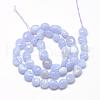 Natural Blue Lace Agate Beads Strands G-R445-8x10-10-2