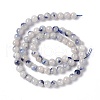 Natural Blue White Dumortierite Round Beads Strands G-E265-01C-2