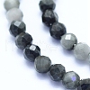 Natural Hawk's Eye Beads Strands G-I279-E14-03-3