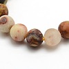 Frosted Natural Crazy Lace Agate Round Bead Strands G-M063-8mm-02-2