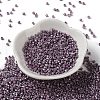 Baking Paint Glass Seed Beads SEED-S042-15A-14-2