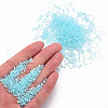 12/0 Imitation Jade Glass Seed Beads SEED-S049-A-008-5