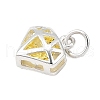 S925 Sterling Silver with Cubic Zirconia Charms STER-Q006-05A-S-2