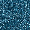 12/0 Glass Seed Beads SEED-A005-2mm-23B-2