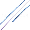 Segment Dyed Polyester Thread NWIR-I013-D-19-3