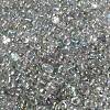 AB Color Plated Glass Seed Beads SEED-L011-06B-14-3