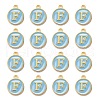 Golden Plated Alloy Enamel Charms ENAM-S118-04F-2