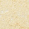 Baking Paint Glass Seed Beads X-SEED-S042-15B-25-3