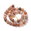 Natural Botswana Agate Beads Strands G-G925-01A-3