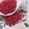 MIYUKI Delica Beads SEED-J020-DB0162-1