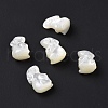 Natural White Shell Beads BSHE-H016-02-2