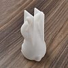 Rabbit DIY Silicone Rabbit Ornaments Molds SIMO-R010-03A-3