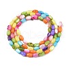 Freshwater Shell Beads Strands SHEL-T009-B15-06-2