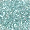 Glass Seed Beads SEED-K009-04A-01-3