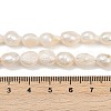 Natural Cultured Freshwater Pearl Beads Strands PEAR-P064-20J-01A-5