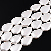 Electroplate Natural Freshwater Shell Beads Strands SHEL-R049-026A-1