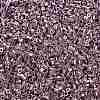 Electroplate Glass Seed Beads SEED-H003-08G-2