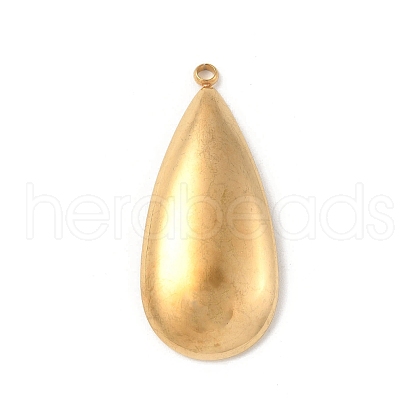 304 Stainless Steel Pendants STAS-P388-03G-1
