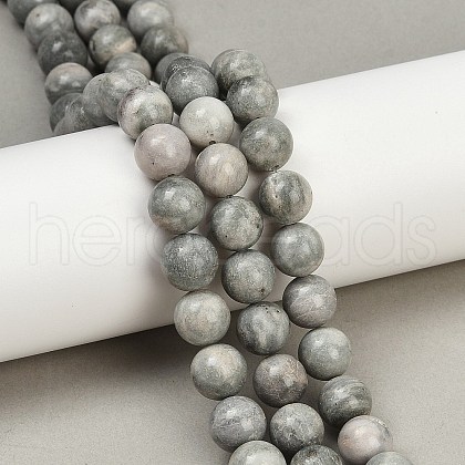 Natural Gemstone Beads Strands G-F792-C12-01-1