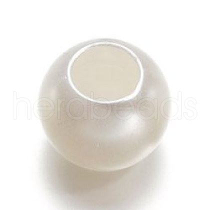 30Pcs ABS Plastic European Beads FIND-PW0024-37B-1
