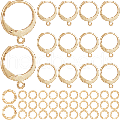SOFPLATE 80Pcs 304 Stainless Steel Leverback Earring Findings STAS-SP0001-16-1