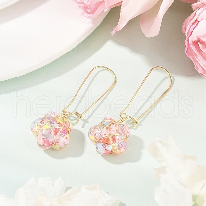 Resin Dangle Hoop Earrings EJEW-JE06352-01-1