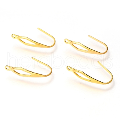 304 Stainless Steel Earring Hooks STAS-Z034-11G-1