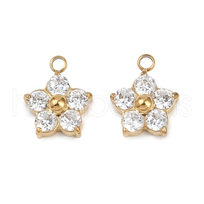 304 Stainless Steel Micro Pave Cubic Zirconia Charms STAS-B088-01G-02-1