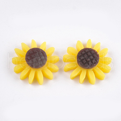Resin Cabochons CRES-T010-61G-1