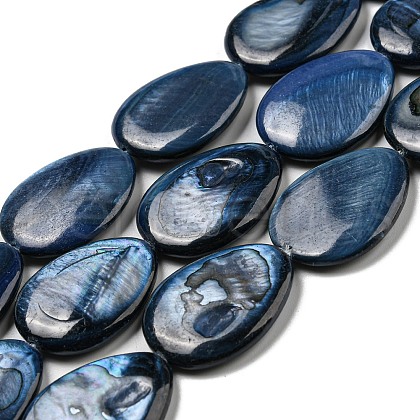Dyed Natural Freshwater Shell Beads Strands BSHE-G034-24-1