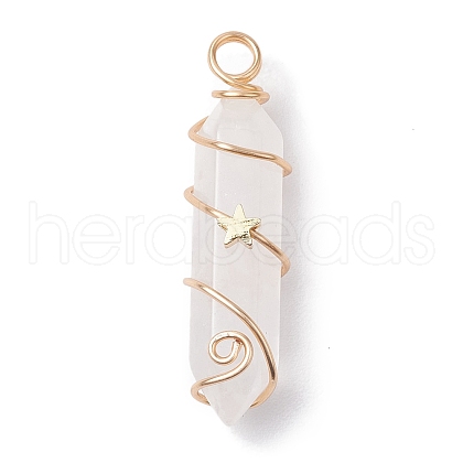 Natural Quartz Crystal Double Terminal Pointed Pendants PALLOY-JF02672-05-1
