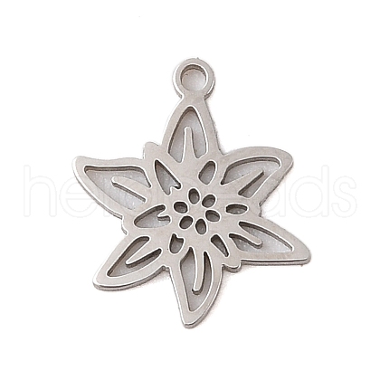 Non-Tarnish 304 Stainless Steel Pendants STAS-S139-06P-01-1