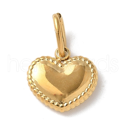 304 Stainless Steel Charms STAS-G352-07G-1