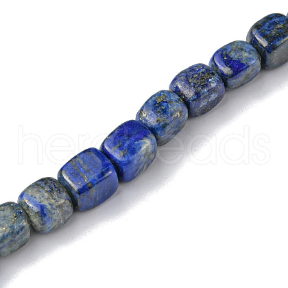 Natural Lapis Lazuli Beads Strands G-F743-02Q-1