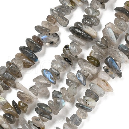Natural Labradorite Beads Strands G-P332-23-1