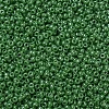 MIYUKI Round Rocailles Beads X-SEED-G007-RR0431-3