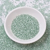 MIYUKI Delica Beads SEED-X0054-DB0829-2